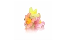 Picture of Snapdragon Edible Flowers