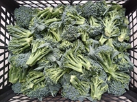 Picture of Tenderstem Broccoli