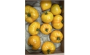 Picture of Golden Coeur de Boeuf Tomatoes