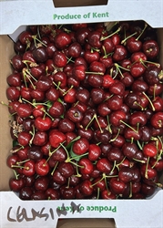 Picture of Kordia Cherries Class 1