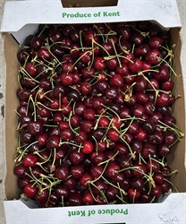 Picture of Merchant Red Cherries Class 1
