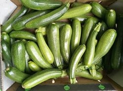 Picture of Courgettes, green