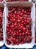 Fresh Redcurrants