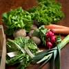 Picture of Organic Seasonal Veg Box, Mini