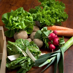 Picture of Organic Seasonal Veg Box, Mini (no spuds)