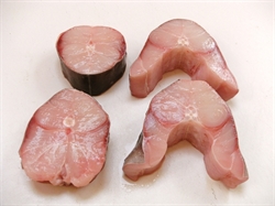 Picture of Spur Dog Shark Steaks