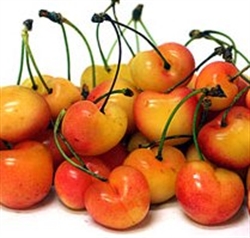 Picture of Napoleon White Cherries