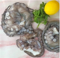 Picture of Double Sucker Octopus, prepared