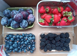 Picture of Kent Soft Fruits Selection