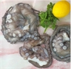 Picture of Double Sucker Octopus, prepared