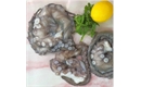 Picture of Double Sucker Octopus, prepared