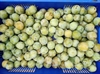 Picture of Oulins Golden Gages