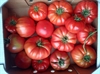 Picture of Beefsteak Tomatoes