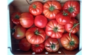 Picture of Beefsteak Tomatoes