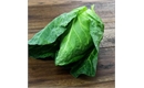 Picture of Sweetheart Hispi Cabbage