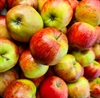 Picture of Robijn Apples