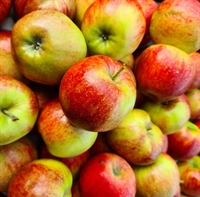 Picture of Robijn Apples