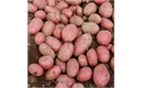 Picture of Alouette Potatoes