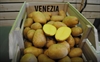 Picture of Venezia Washed Salad Potatoes