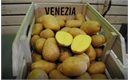 Picture of Venezia Washed Salad Potatoes