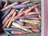 Picture of Rainbow Carrots