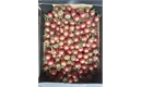 Picture of Black Cherry Tomatoes