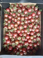 Picture of Black Cherry Tomatoes