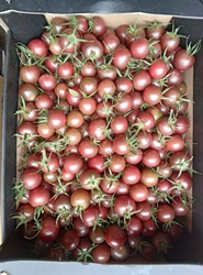 Picture of Black Cherry Tomatoes