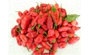 Picture of Dorset Naga Chillies