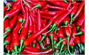 Picture of Long Red Chillies