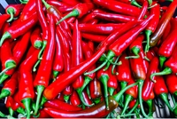 Picture of Long Red Chillies