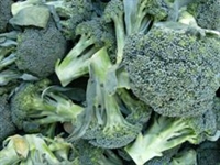 Picture of Large Calabrese Broccoli