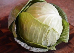 Picture of Large White Cabbage