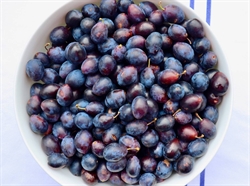 Picture of Wild Damsons
