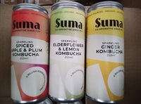Picture of Healthy Kombucha Selection