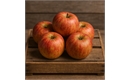 Picture of Barnack Beauty Apples