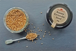 Picture of Sussex Coriander Seeds