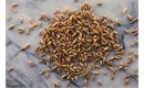 Picture of Emmer (Farro), Wholegrain