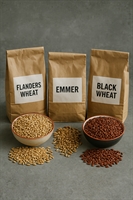 Picture of British Grain Selection