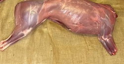 Picture of Whole Muntjac Venison