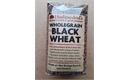 Picture of Black Wheat grain