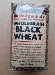 Picture of Black Wheat grain