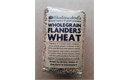 Picture of Flanders Wheat, Wholegrain
