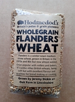 Picture of Flanders Wheat, Wholegrain