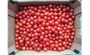Picture of Cherry Tomatoes Box
