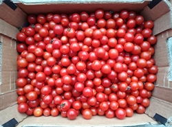 Picture of Cherry Tomatoes Box