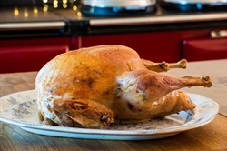 Picture of Bronze Somerset Turkey