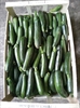 Picture of Courgettes, green