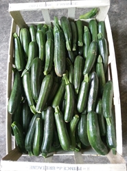 Picture of Courgettes, green