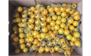 Picture of Yellow Cherry Vine Tomatoes